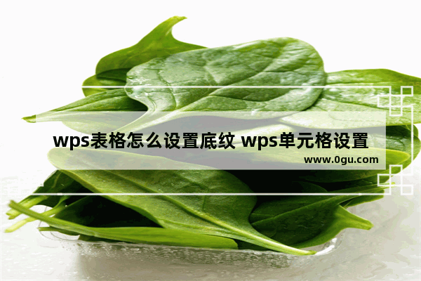 wps表格怎么设置底纹 wps单元格设置底纹的方法