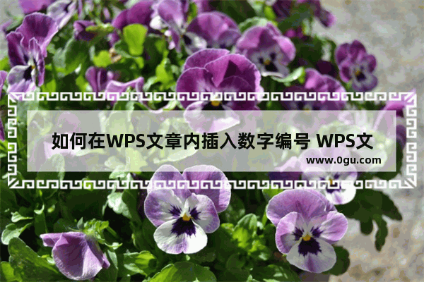 如何在WPS文章内插入数字编号 WPS文章内插入数字编号的方法