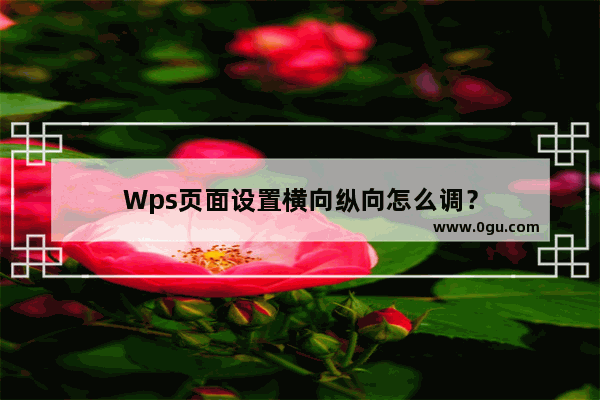 Wps页面设置横向纵向怎么调？