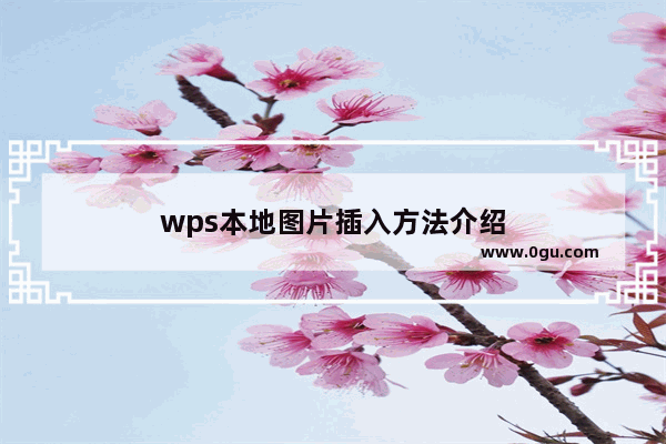 wps本地图片插入方法介绍