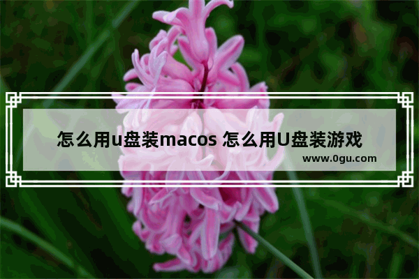 怎么用u盘装macos 怎么用U盘装游戏