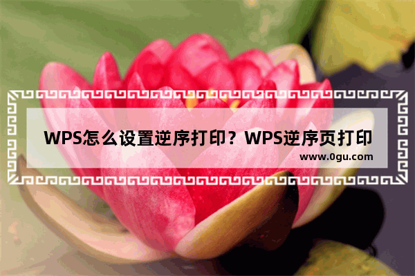 WPS怎么设置逆序打印？WPS逆序页打印方法介绍