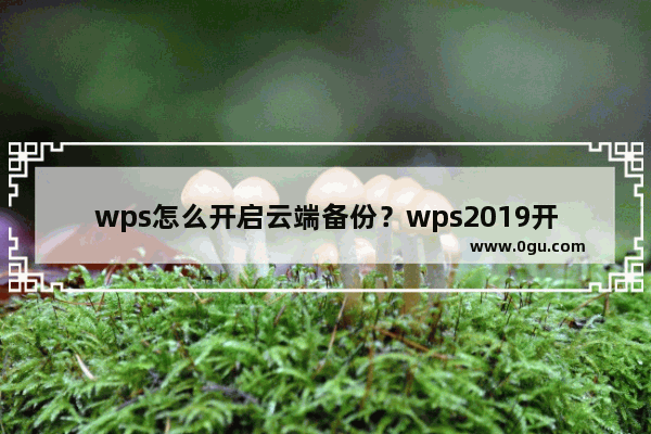 wps怎么开启云端备份？wps2019开启云端备份的方法！