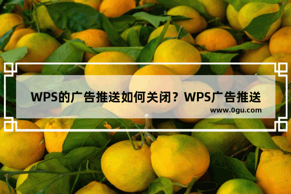 WPS的广告推送如何关闭？WPS广告推送的关闭方法