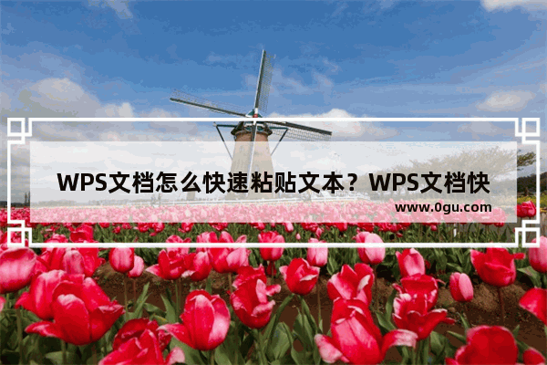 WPS文档怎么快速粘贴文本？WPS文档快速粘贴文本的方法