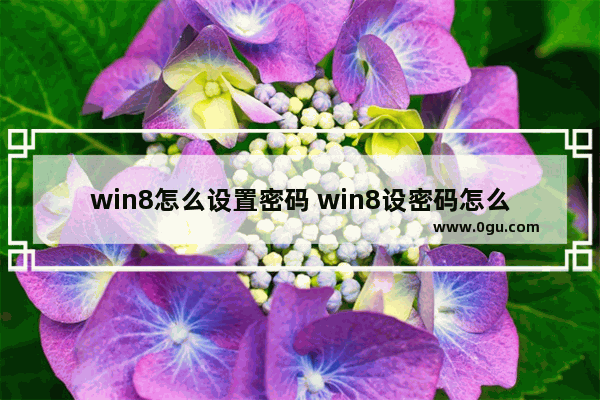 win8怎么设置密码 win8设密码怎么设置