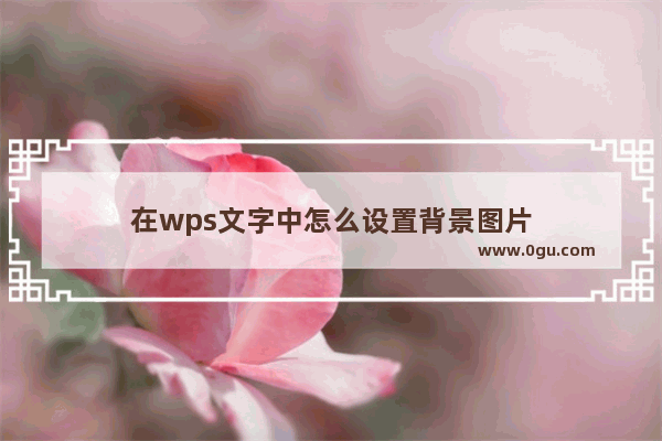 在wps文字中怎么设置背景图片