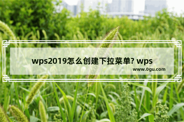 wps2019怎么创建下拉菜单? wps下拉菜单的制作方法