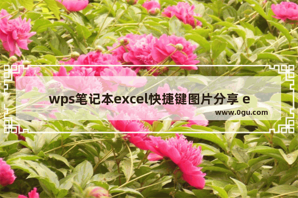 wps笔记本excel快捷键图片分享 excel快捷键大全常用