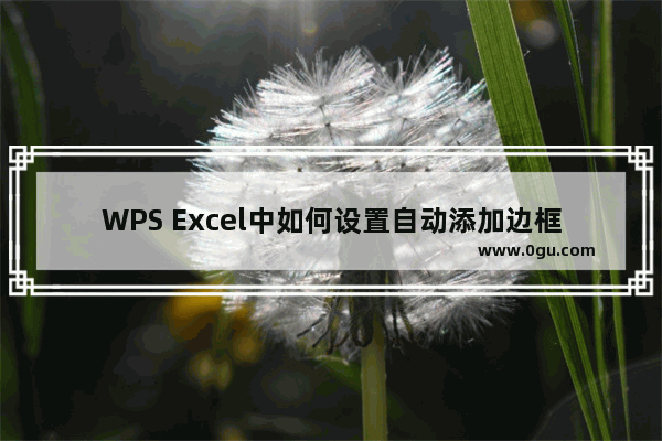 WPS Excel中如何设置自动添加边框