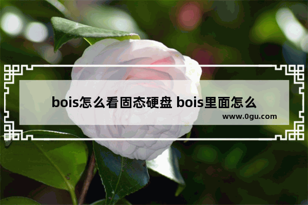 bois怎么看固态硬盘 bois里面怎么看硬盘