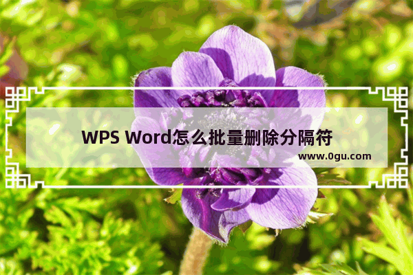 WPS Word怎么批量删除分隔符