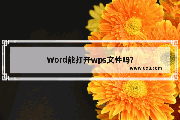 Word能打开wps文件吗?