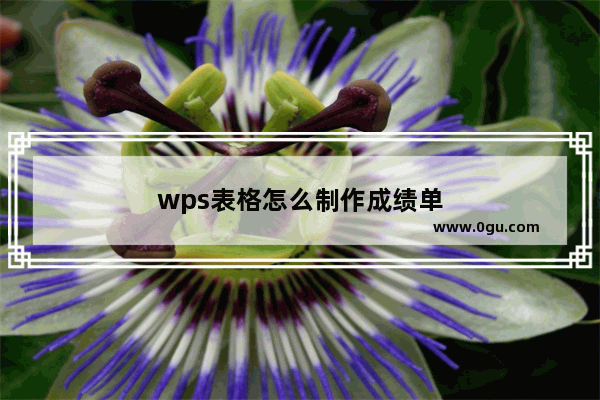 wps表格怎么制作成绩单