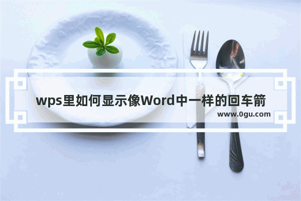 wps里如何显示像Word中一样的回车箭头符号