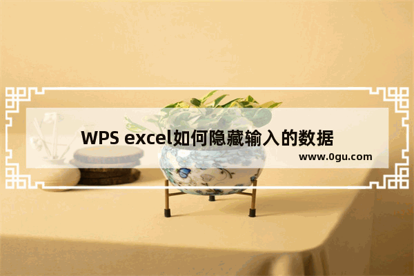 WPS excel如何隐藏输入的数据