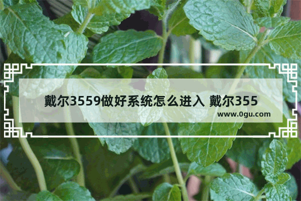 戴尔3559做好系统怎么进入 戴尔3559做好系统怎么进入u盘启动