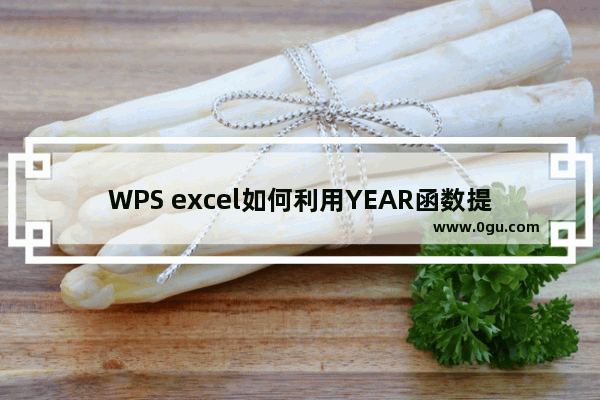 WPS excel如何利用YEAR函数提取日期的年份