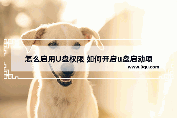 怎么启用U盘权限 如何开启u盘启动项