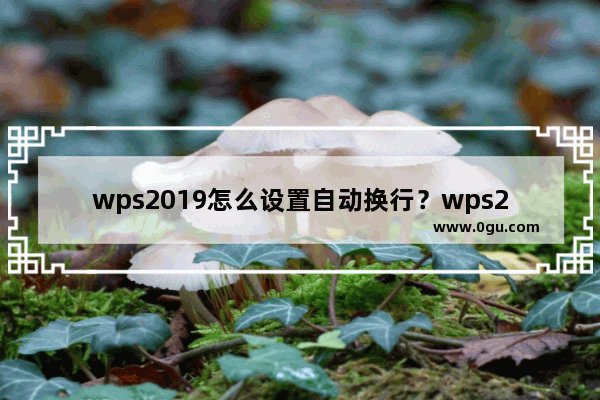 wps2019怎么设置自动换行？wps2019自动换行设置教程