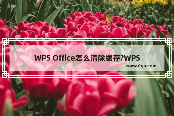 WPS Office怎么清除缓存?WPS Office清除缓存技巧