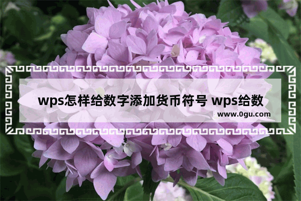 wps怎样给数字添加货币符号 wps给数据批量添加货币符号的设置方法