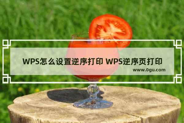 WPS怎么设置逆序打印 WPS逆序页打印方法介绍