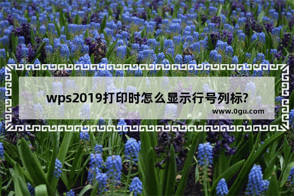 wps2019打印时怎么显示行号列标?