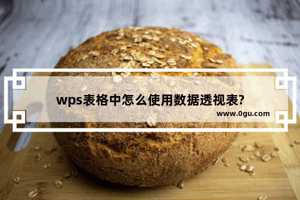 wps表格中怎么使用数据透视表?