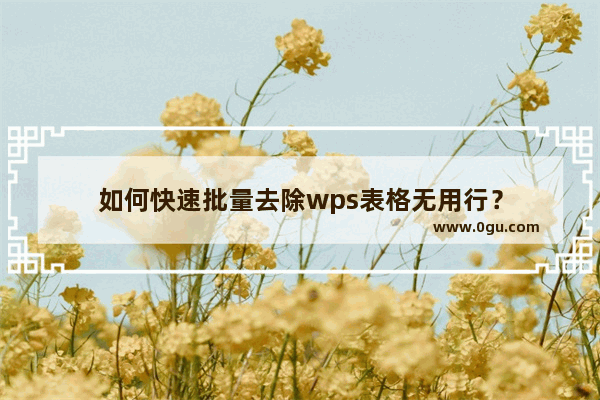 如何快速批量去除wps表格无用行？