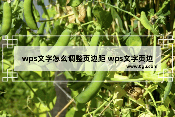 wps文字怎么调整页边距 wps文字页边距设置方法