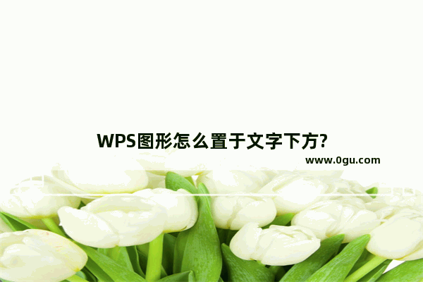 WPS图形怎么置于文字下方?