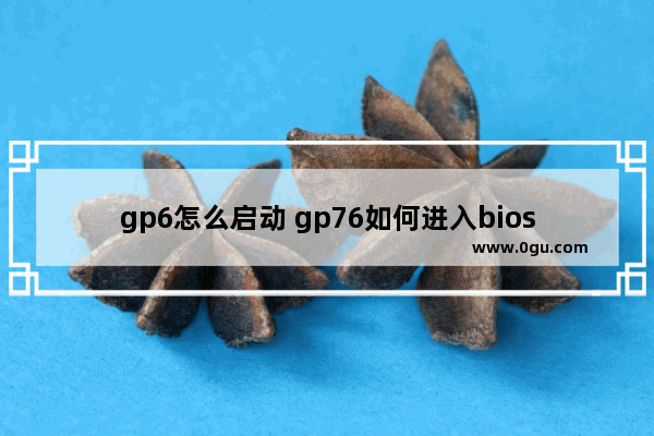 gp6怎么启动 gp76如何进入bios