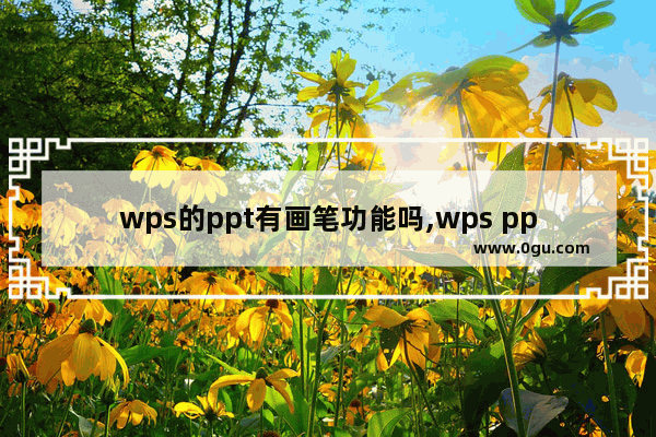 wps的ppt有画笔功能吗,wps ppt的画笔工具在哪里?