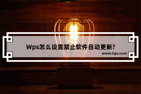 Wps怎么设置禁止软件自动更新?