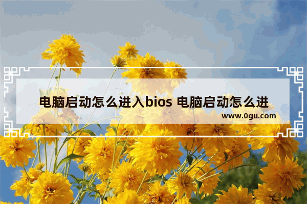 电脑启动怎么进入bios 电脑启动怎么进入u盘重装系统