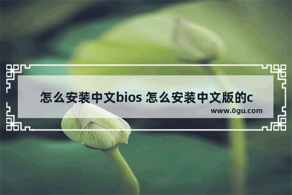 怎么安装中文bios 怎么安装中文版的centos7