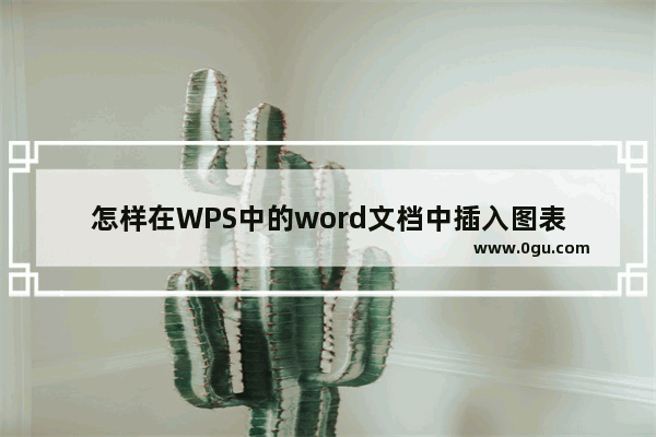 怎样在WPS中的word文档中插入图表