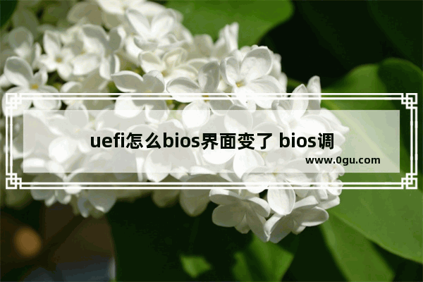 uefi怎么bios界面变了 bios调uefi