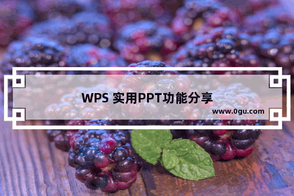 WPS 实用PPT功能分享