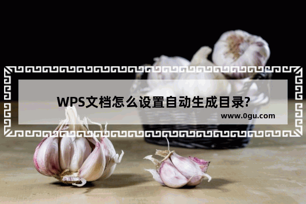 WPS文档怎么设置自动生成目录?