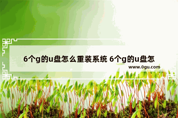 6个g的u盘怎么重装系统 6个g的u盘怎么重装系统教程