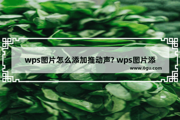 wps图片怎么添加推动声? wps图片添加声音的技巧