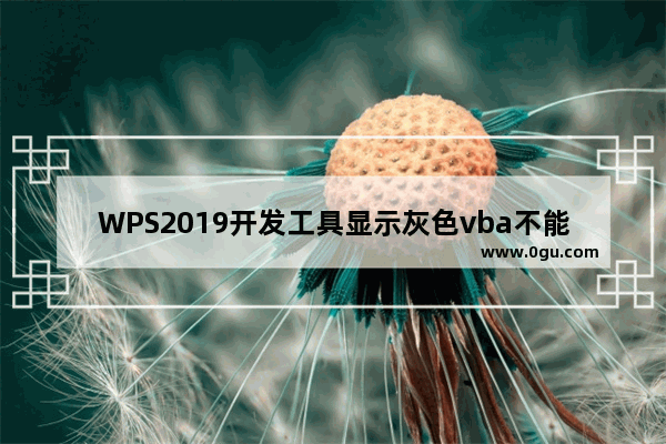 WPS2019开发工具显示灰色vba不能用怎么办?