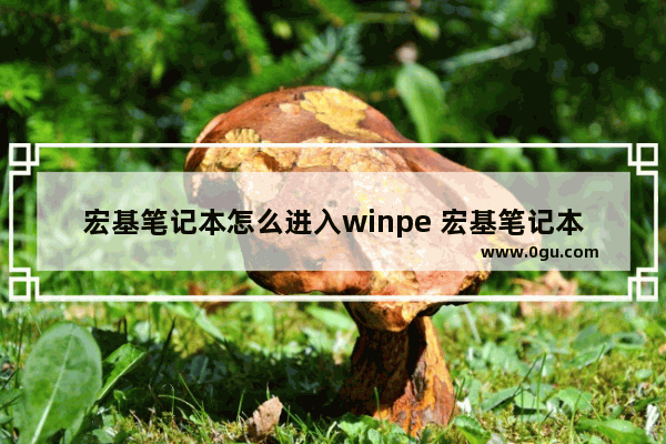 宏基笔记本怎么进入winpe 宏基笔记本怎么进入u盘启动项