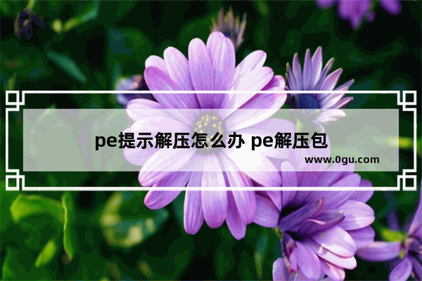 pe提示解压怎么办 pe解压包