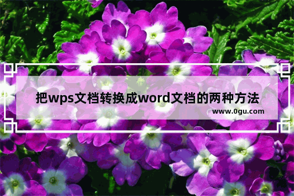 把wps文档转换成word文档的两种方法