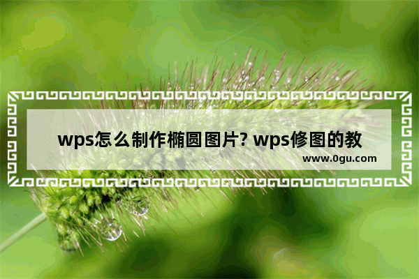 wps怎么制作椭圆图片? wps修图的教程