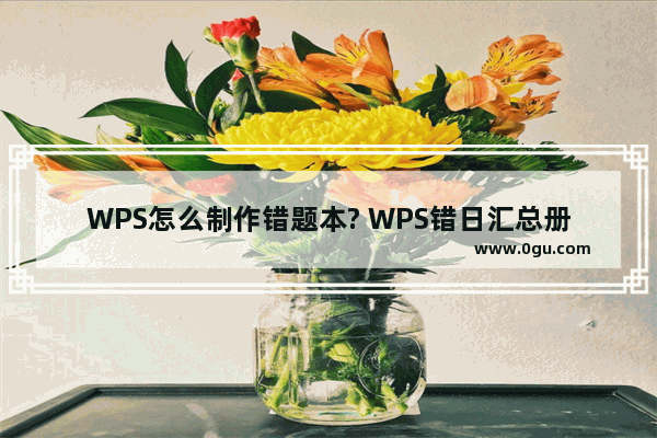 WPS怎么制作错题本? WPS错日汇总册的做法