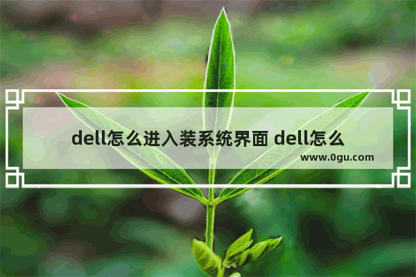 dell怎么进入装系统界面 dell怎么进入u盘安装系统